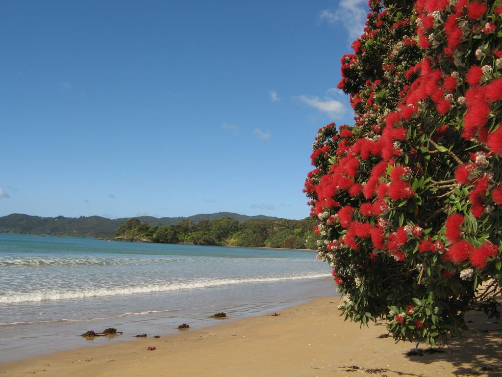 By The Bay Beachfront Apartments Mangonui Exteriör bild