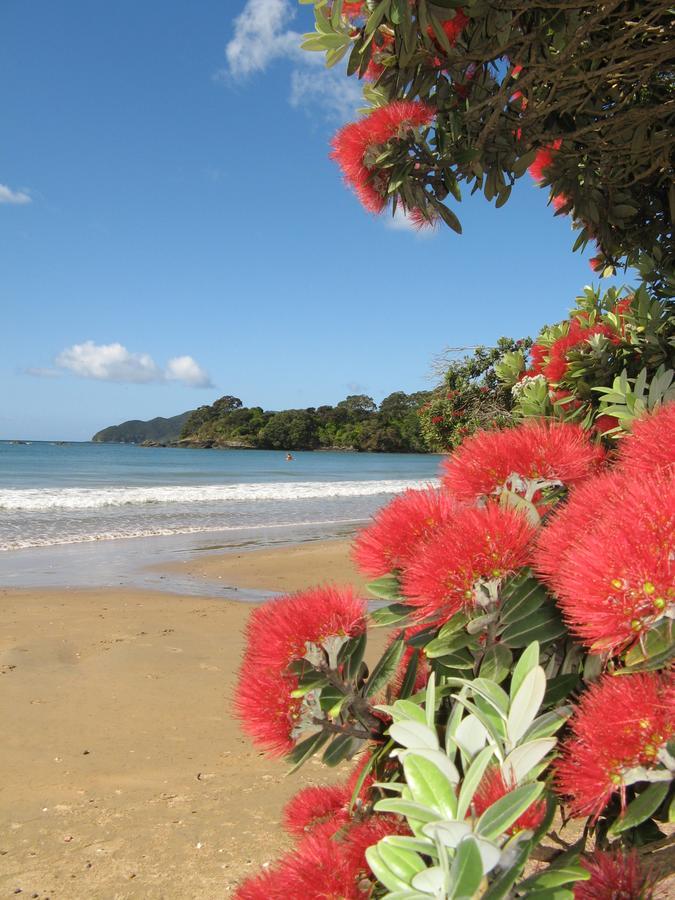 By The Bay Beachfront Apartments Mangonui Exteriör bild