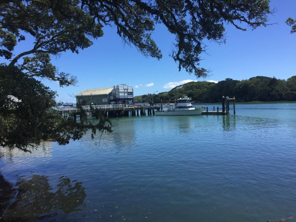 By The Bay Beachfront Apartments Mangonui Rum bild